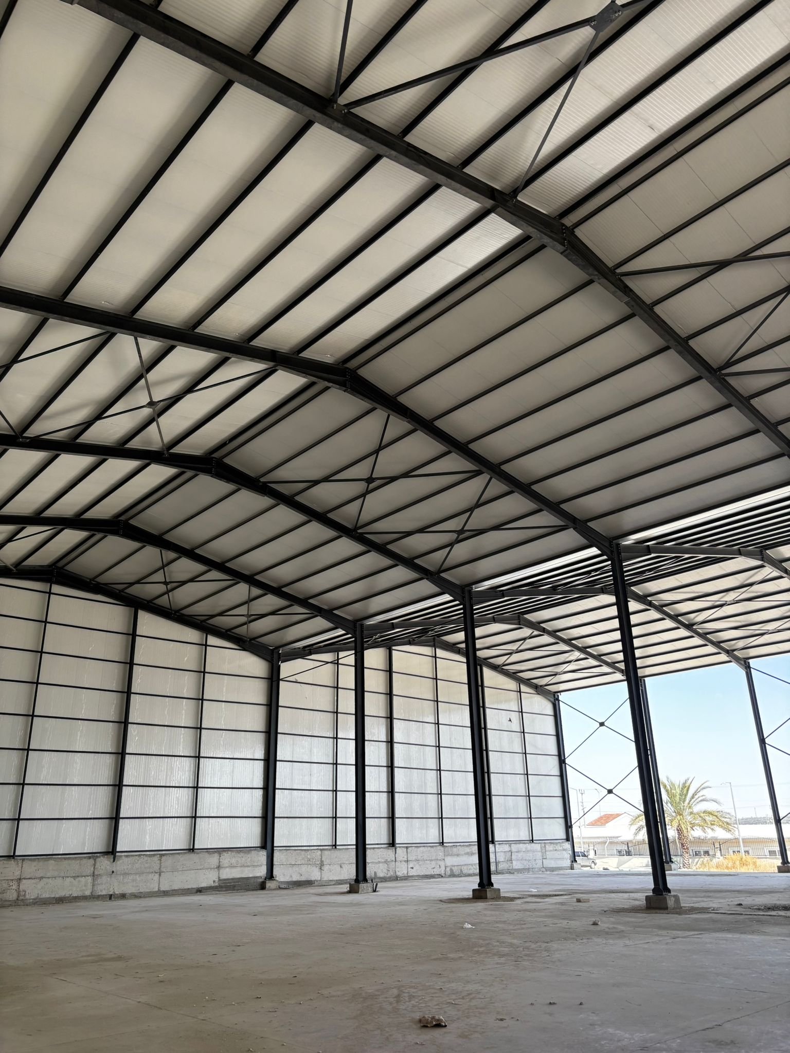 WhatsApp Image 2025-06-04 at 15.48.36 (1)